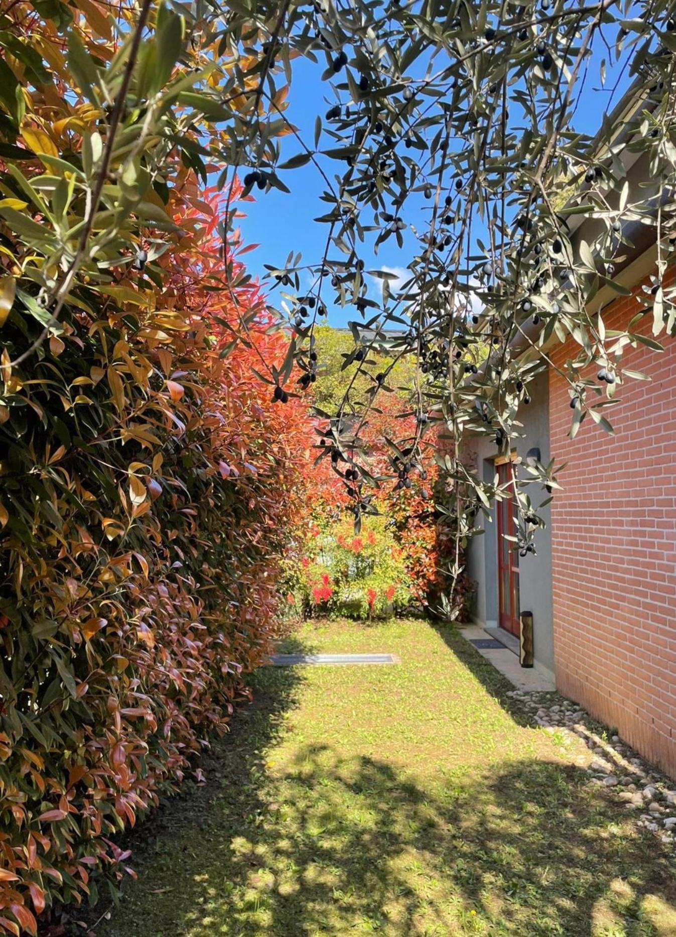 L'Ulivo Di Como Appartement Buitenkant foto